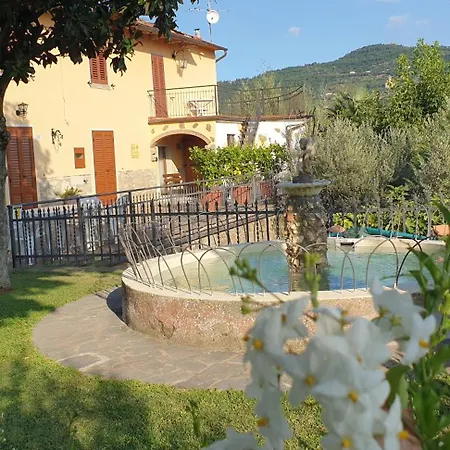 Il Mandorlo Bed & Breakfast Cortona