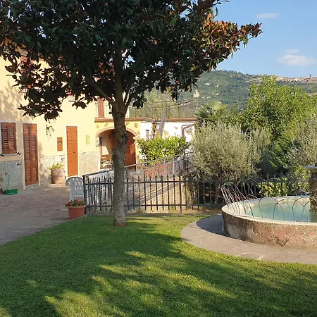 Il Mandorlo