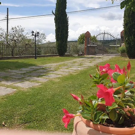 Il Mandorlo Κορτόνα