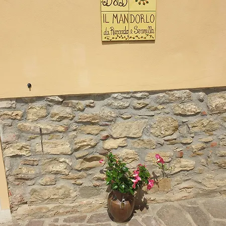 Bed & Breakfast Il Mandorlo Cortona