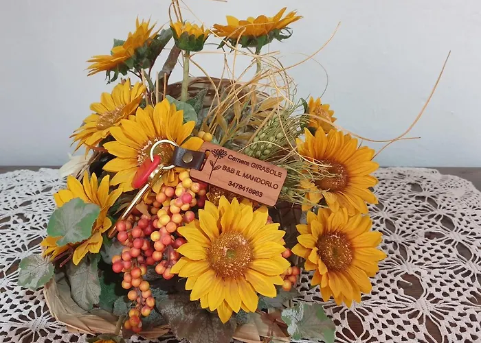 Il Mandorlo Bed and Breakfast 3*