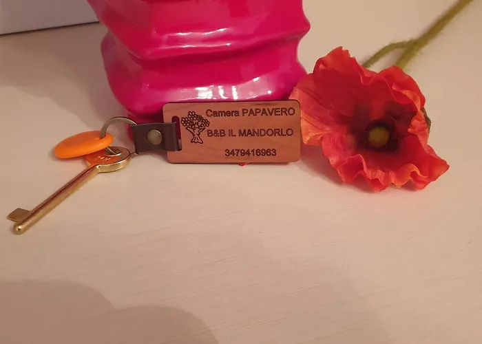 Bed and Breakfast Il Mandorlo Κορτόνα