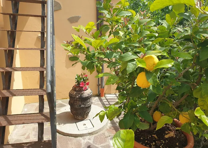 Bed & Breakfast Il Mandorlo 3*