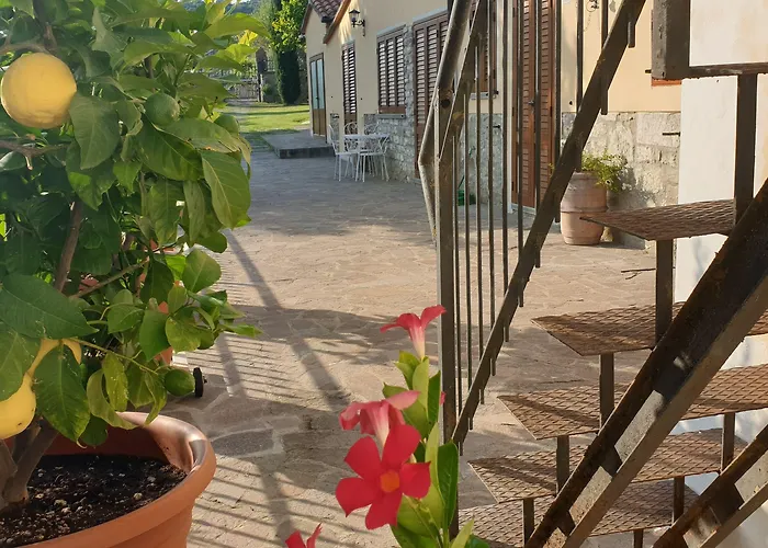 Bed and Breakfast Il Mandorlo Κορτόνα