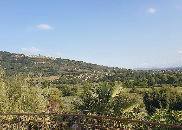 Bed and Breakfast Il Mandorlo 3*