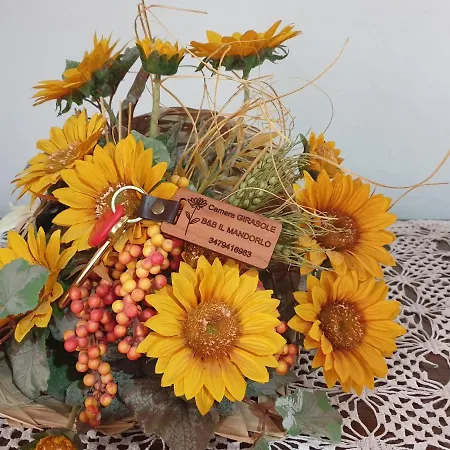 Il Mandorlo فندق مبيت وإفطار 3*