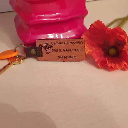 فندق مبيت وإفطار Il Mandorlo كورتونا