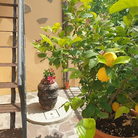 فندق مبيت وإفطار Il Mandorlo 3*